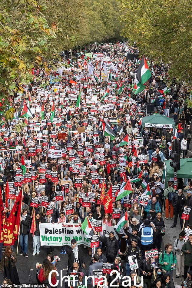 数千名亲巴勒斯坦抗议者参加英国巴勒斯坦团结组织在伦敦市中心举行的示威活动