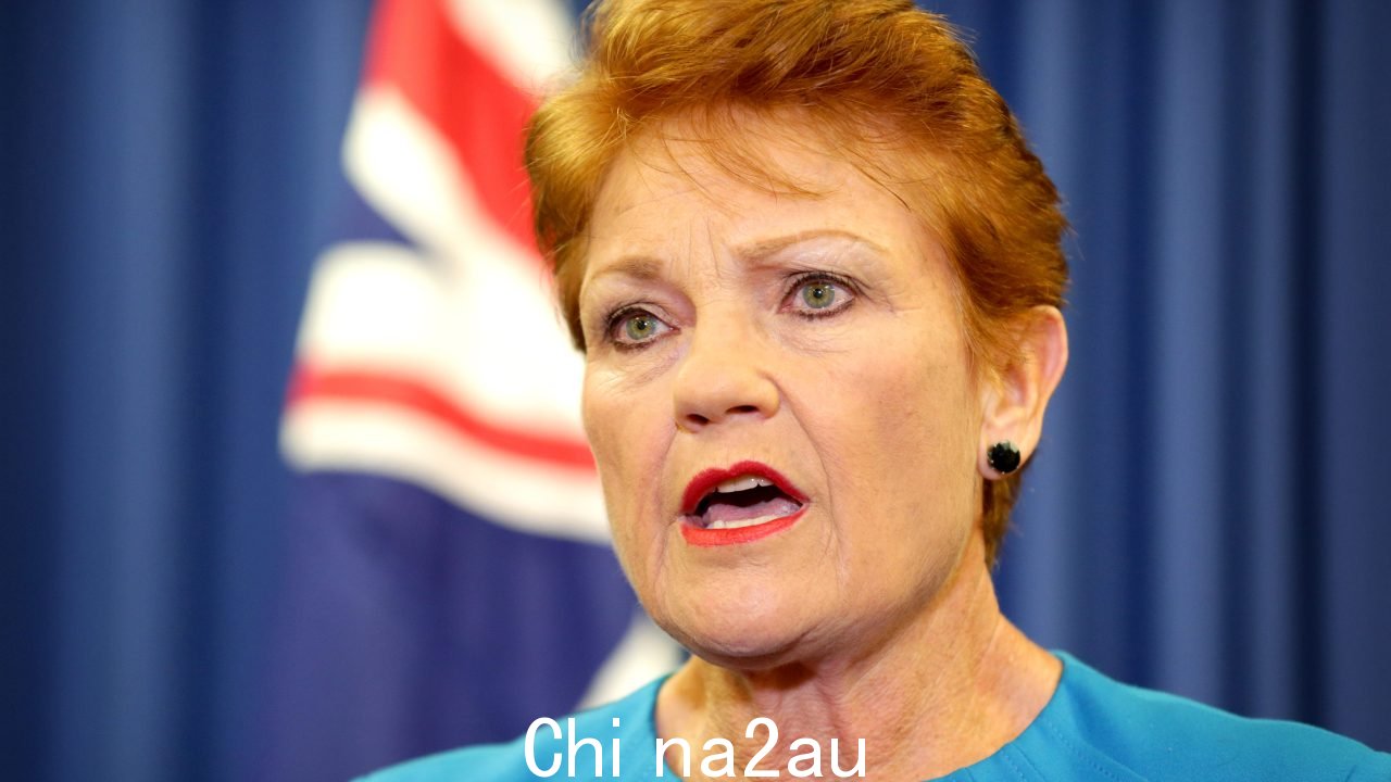 Pauline Hanson 猛烈抨击了接近创纪录的移民水平。图片:Steve Pohlner