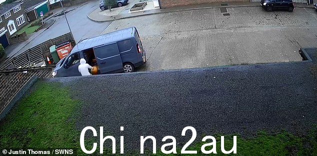 司机似乎将南瓜装进车后并迅速开走