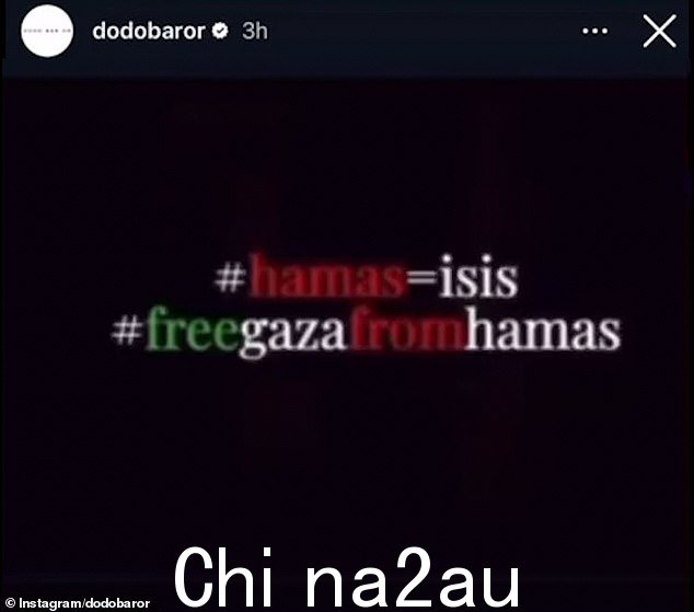据称她发布的视频包含将恐怖组织哈马斯与 ISIS 进行比较的信息