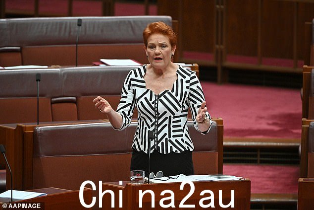 One Nation 议员 Pauline Hanson 警告说,如果 Benbrika 出狱并允许留在澳大利亚,国家将面临危险