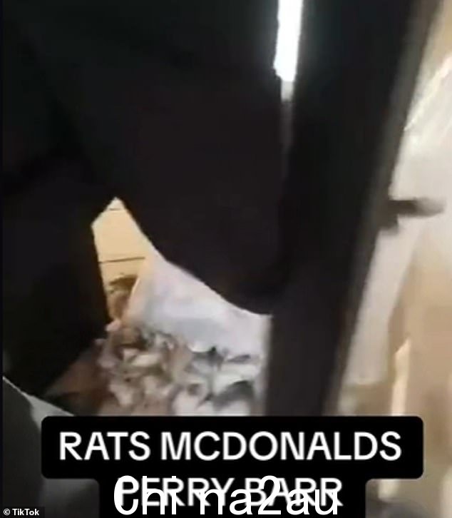 周二,佩里巴尔的麦当劳:这是一个可怕的时刻,一名支持加沙的活动人士在将装满老鼠的盒子倒进麦当劳之前高呼“自由巴勒斯坦”