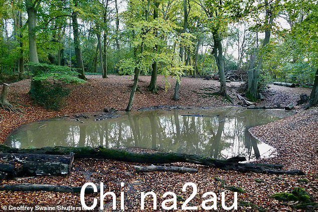 又一天的大雨过后,今天牛津郡邓斯登的灌木丛被洪水淹没