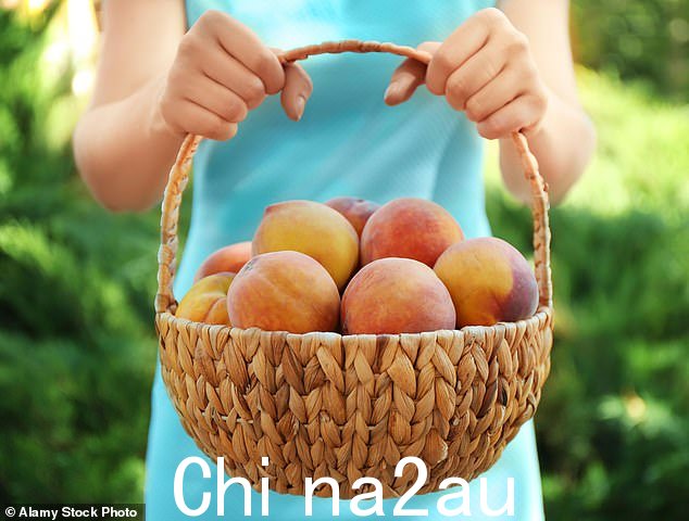 长期以来,果糖被认为是“健康”的糖。但事实证明,大量食用时,它可能会产生负面影响