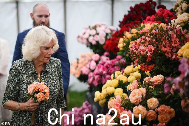 卡米拉女王在七月参观桑德灵厄姆花卉展期间观看花卉展示