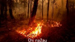 “立即采取行动以求生存”：西澳大利亚皮尔地区炎热多风，大火威胁着房屋和生命