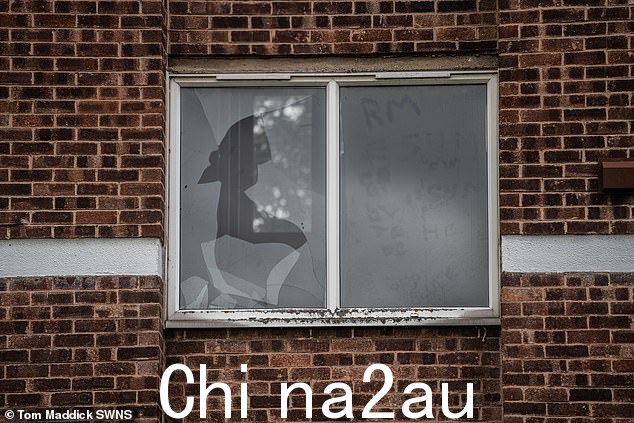 照片显示了被打碎的窗户,据信一名妇女在被 XL 恶霸犬追赶后跌落