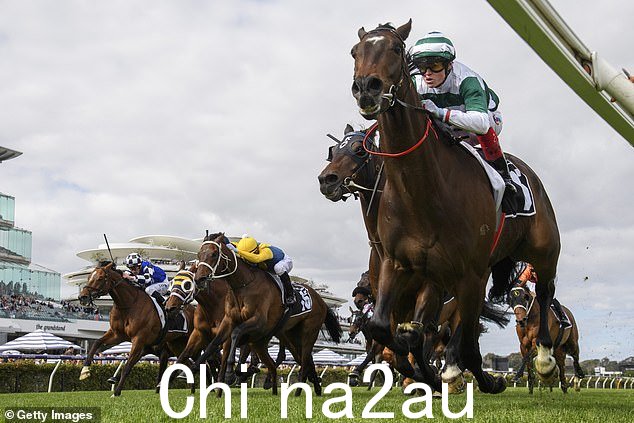 Bet Right 首席执行官 Anthony Waller 喜欢 Lastotchka 和 Future History(上图)作为粗暴者