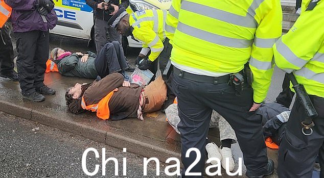 演示开始上午 9.30 左右,伦敦警察厅要求活动人士离开道路,继续在人行道上抗议