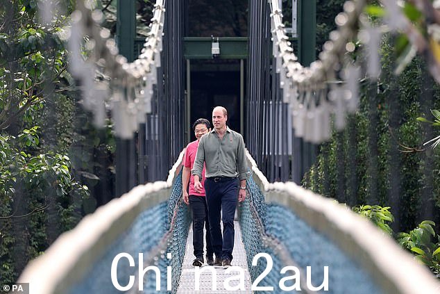 在中央集水区自然保护区的树顶步道上,威廉王子和新加坡副总理黄循财穿过连接步行路线上两个最高点 Bukit Peirce 和 Bukit Kalang 的独立吊桥今天早上