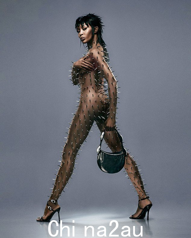 娜奥米·坎贝尔 (Naomi Campbell) 似乎将事情提升到了一个全新的水平,她全身都覆盖着银色尖刺,裸体摆出姿势
