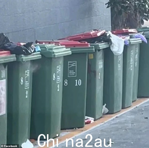 全国各地的澳大利亚人都被激怒了,因为他们的议会开始每两周收集一次普通垃圾箱,导致垃圾箱里装满了溃烂的垃圾