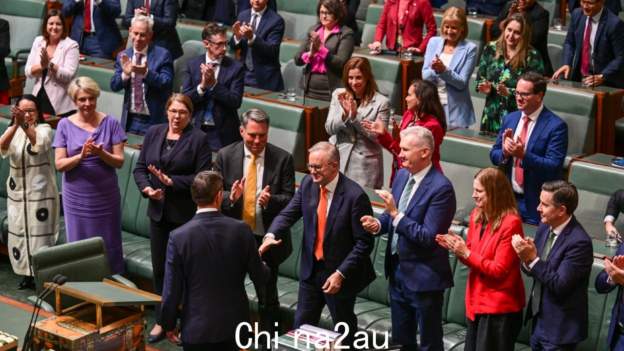 Barnaby Joyce:政府应该遍布 Optus '就像海鸥飞过芯片'