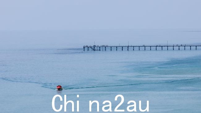 人们从事件发生后,人们在寻找鲨鱼的同时进行了水处理,但在找不到该动物后,海滩游客又返回了。图片:Ben Clark