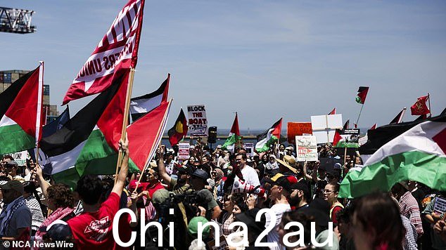 亲巴勒斯坦活动分子试图阻止以色列航运公司 ZIM 进入悉尼 Port Botany