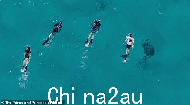 视频标题解释道:“Coral Vita 为垂死的珊瑚礁赋予新生命,在陆地上养殖珊瑚,然后将它们种植到海洋中,为复兴我们的海洋做出了令人难以置信的工作”