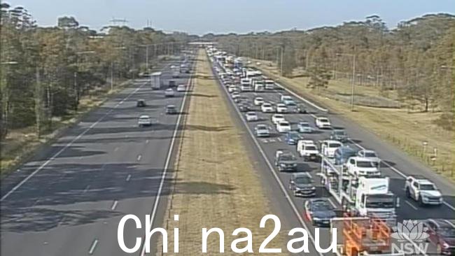 汽车在 M5 和 M7 交界处一辆接一辆地向南望向 Ingleburn。图片：新南威尔士州实时交通