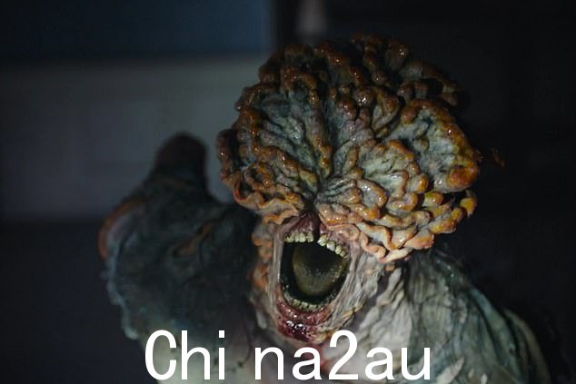 HBO 的《最后生还者》可能是一个虚构的连续剧,但科学家们已经发现了一种有可能威胁全球健康的混合真菌
