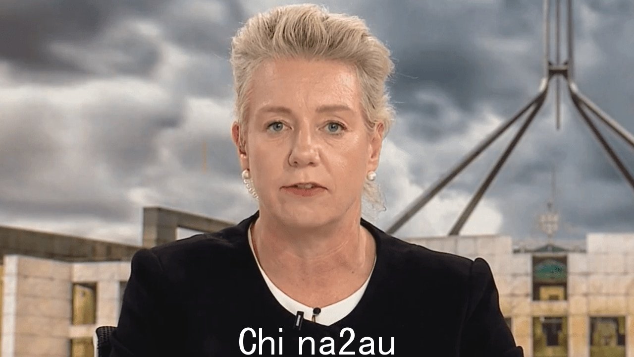 麦肯齐参议员向社区猛烈抨击工党政府对寻求庇护者释放的处理方式。图片:天空新闻澳大利亚。