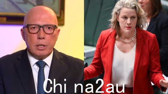 反对党领袖 Peter Dutton 在经历了几个月的动荡后猛烈抨击内政部陷入困境的部门。图1：澳大利亚天空新闻。图2：NCA NewsWire / Martin Ollman