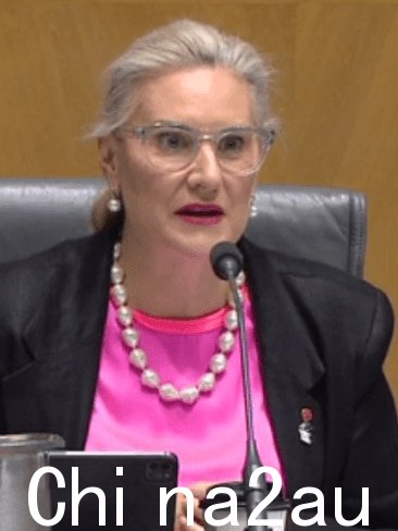参议员 Hollie Hughes 说Optus 在社交媒体上提供更新是“讽刺的”,而大多数客户都没有访问互联网。图片:天空新闻