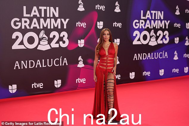 明星云集:Anitta 与夏奇拉 (Shakira)、Karol G 和 Rosalia 等众多魅力明星一起出席了此次活动