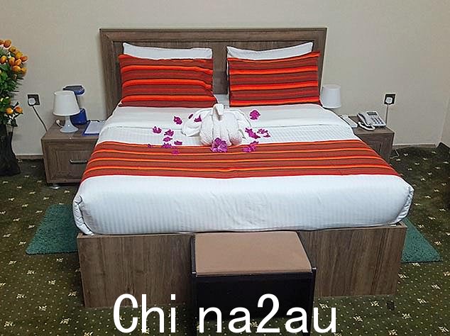 该计划的核心内容是让纳税人资助艾哈迈德在索马里首都摩加迪沙亚丁阿德机场附近的和平饭店住宿 14 周。它包括免费餐点,估计费用高达 11,800 英镑