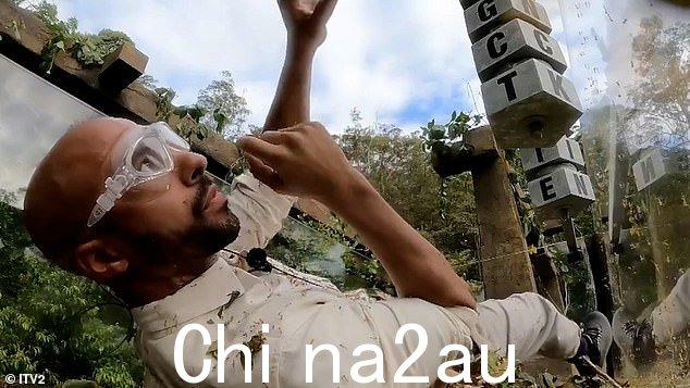 奋斗:马文必须在被咬的同时解开谜题被数千只绿色小蚂蚁咬住
