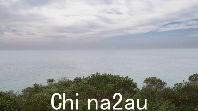 据报道,两架飞机失控,每架载有两名乘客,在莫宁顿海岸以西 12 公里处坠毁。图片:NCA Newswire/Tony Gough