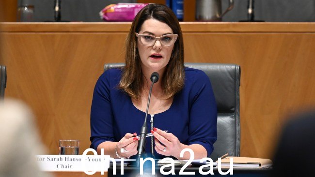 绿党参议员兼参议院调查主席莎拉·汉森-杨感谢前任主席上周在辞职消息传出后挺身而出。图片来源:NCA NewsWire/Martin Ollman