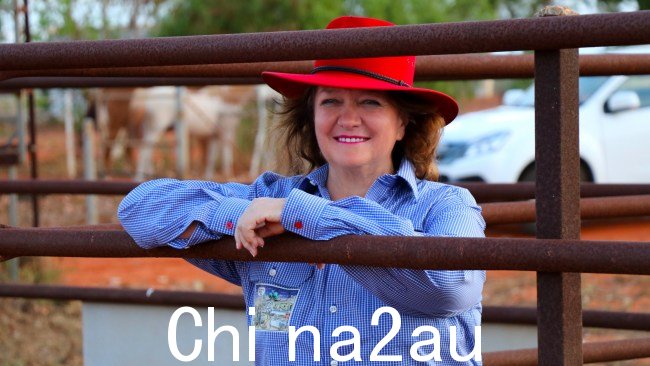 澳大利亚的主要产业吉娜·莱因哈特(Gina Rinehart)写道,由于令人窒息的繁文缛节和净零排放法规,政府制造的问题比大自然给我们带来的问题还要多。