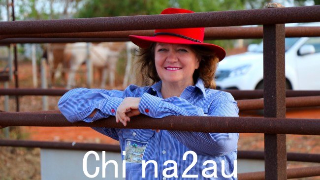 澳大利亚的主要产业吉娜·莱因哈特（Gina Rinehart）写道，由于令人窒息的繁文缛节和净零排放法规，政府制造的问题比大自然给我们带来的问题还要多。 