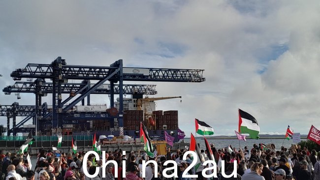 周二晚上在悉尼波特尼港举行了一场亲巴勒斯坦抗议活动，反对以色列货运公司的运营以星。图片：X