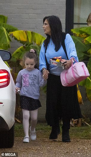 Lynne Spears
