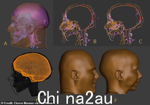 Minirdis 的肖像是使用头骨的数字化模型重建的,其中添加了软组织,整个过程以来自活人(包括相关年龄组)的数据为指导