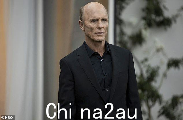 工作:哈里斯最近出现在 HBO 科幻系列剧《西部世界》