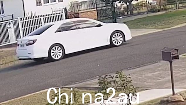 警方发布了他们声称被用来逃离该地区的汽车的闭路电视