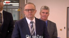 推特名人和记者因向巴勒斯坦难民发放 860 签证而陷入“澳大利亚价值观”崩溃