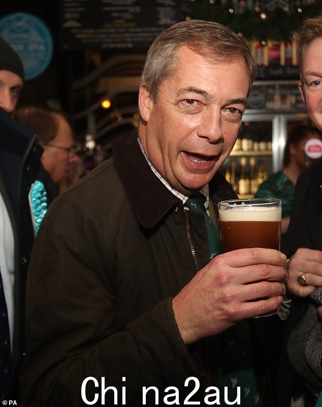 前政客奈杰尔·法拉奇在组建脱欧党之前作为英国独立党领袖而声名鹊起