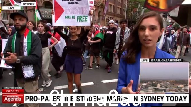 有人看到一名抗议者举着标语，上面写着：“从河流到海洋，巴勒斯坦将获得自由。”图片：澳大利亚天空新闻