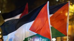 联盟联邦教育发言人萨拉·亨德森要求阿尔巴尼亚政府“采取行动”“关闭”亲巴勒斯坦教师的“激进主义”