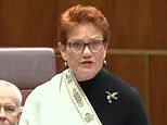 宝琳·汉森 (Pauline Hanson) 在她迄今为止最具爆炸性的演讲之一中对澳大利亚原住民进行了攻击之前，对为什么大多数人对《好声音》投了反对票，提出了爆炸性的说法