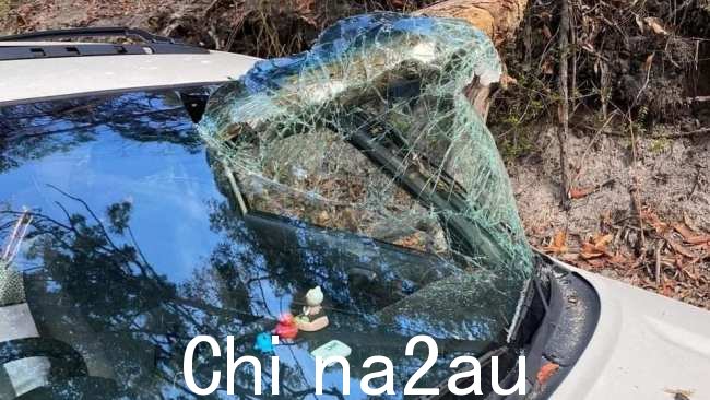 A当学生们在越野赛道上行驶时，大树枝砸碎了他们的汽车挡风玻璃。图片：Facebook