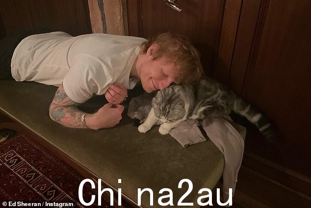 这位歌手与泰勒·斯威夫特的猫合影时也让粉丝们疯狂