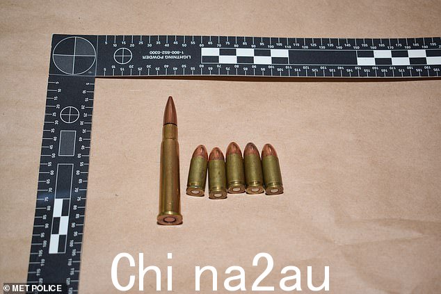 侦探们还在谢尔宾斯基的地址发现了实弹弹药、被盗的货车和大量车牌