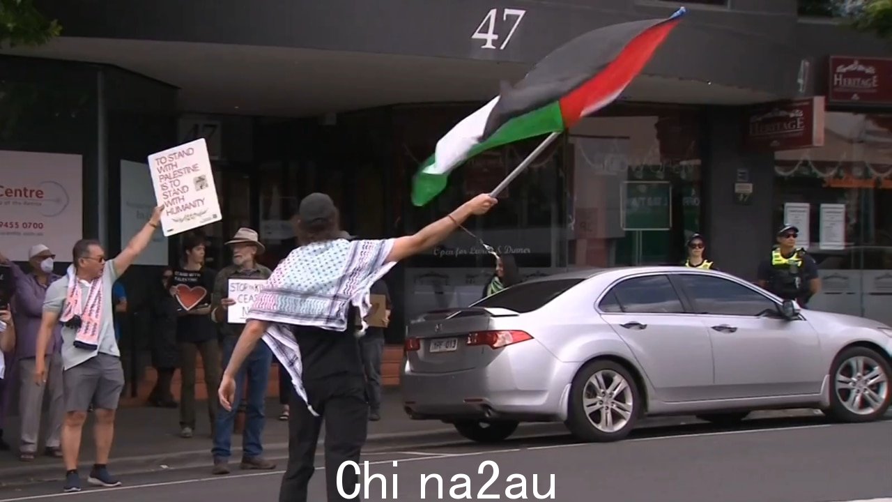 亲巴勒斯坦支持者聚集海德堡集会