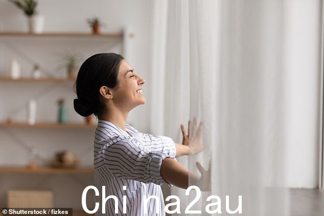 如果您流鼻涕、流泪和打喷嚏,这可能不是感冒,而是对圣诞树的过敏反应 ¿ 或者更确切地说,是在上面发霉了(库存图片)