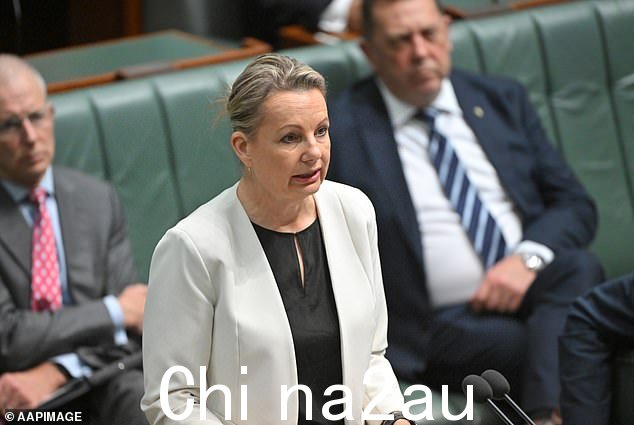 代理反对党领袖苏珊·莱伊 (Sussan Ley) 表示,澳大利亚人会对像本布里卡这样在他们中间自由行走的‘败类’和‘蛆虫’感到愤怒” class=