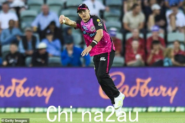 据称这位全能选手在 Big Bash League 比赛期间恐吓了裁判