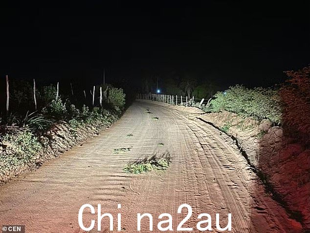 照片显示事故发生地点(文件)